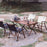 SHINETRIP A375 Outdoor Portable Wooden Beach Chair Black Walnut Camping Folding Chair - Black - 3