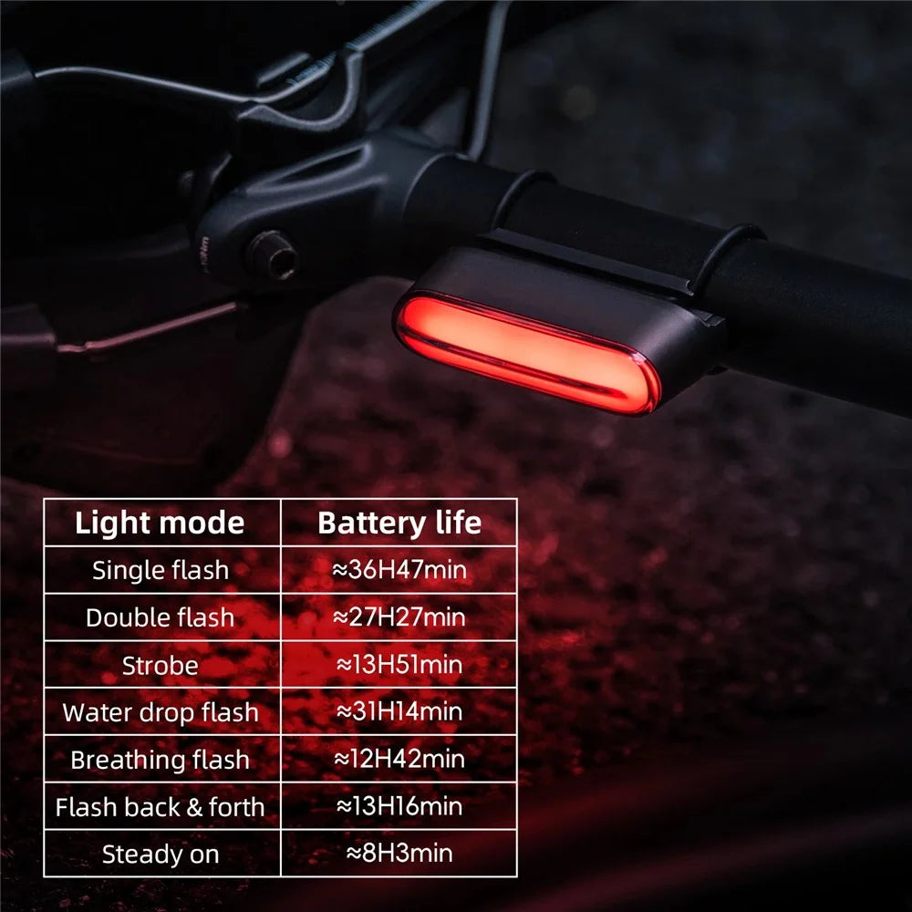 ROCKBROS Bicycle Magnetic Smart Brake Tail Light for Mountain Road Bike Night Riding Rear Light, 24120009 24120009001 - 7