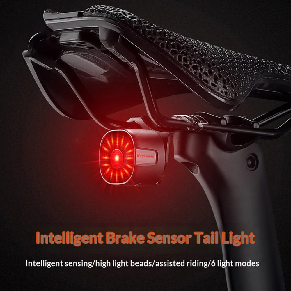 WEST BIKING WT09 6 Modes Bike Tail Light IP66 Waterproof Bicycle Warning Lamp for Road Mountain Cycling - Standard Edition - 3