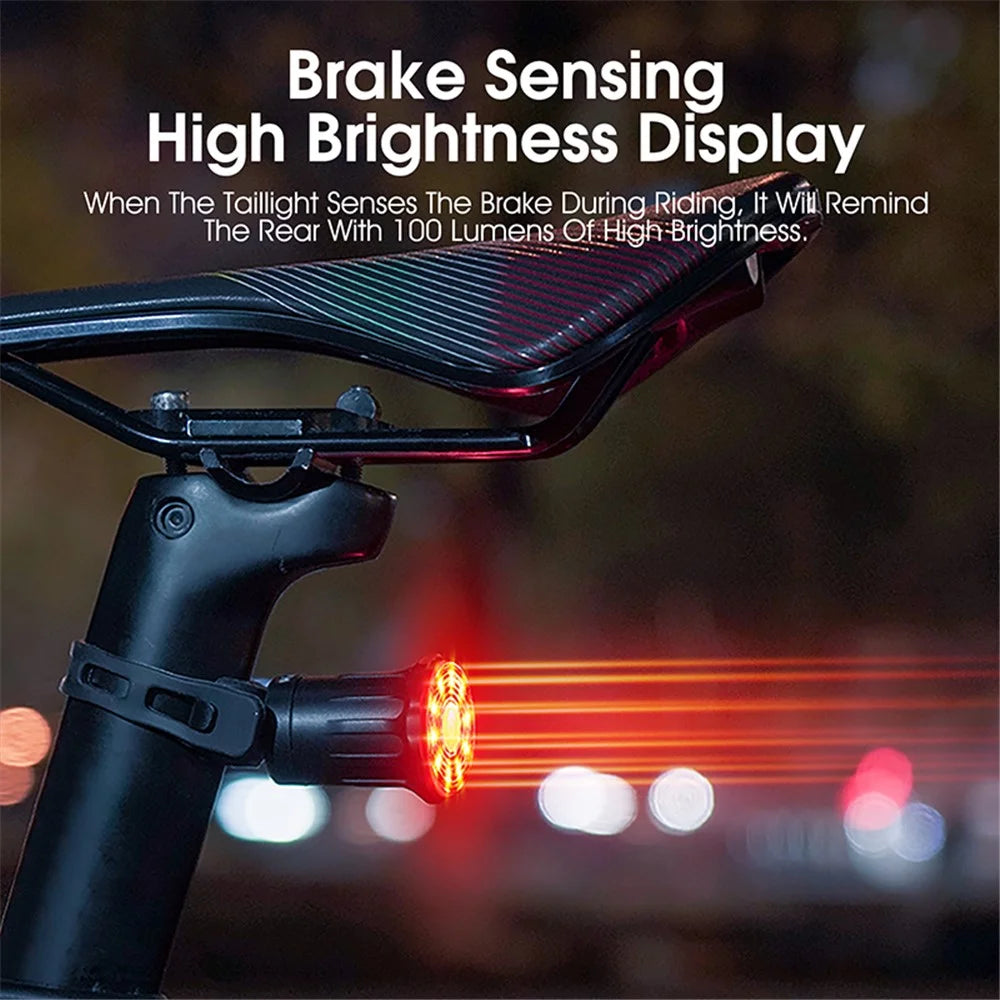 WEST BIKING YP0701331 Bright Colorful LED Bike Taillight Bicycle Smart Tail Light Cycling Accessories Safety Lamp - Install Under Seat - 5