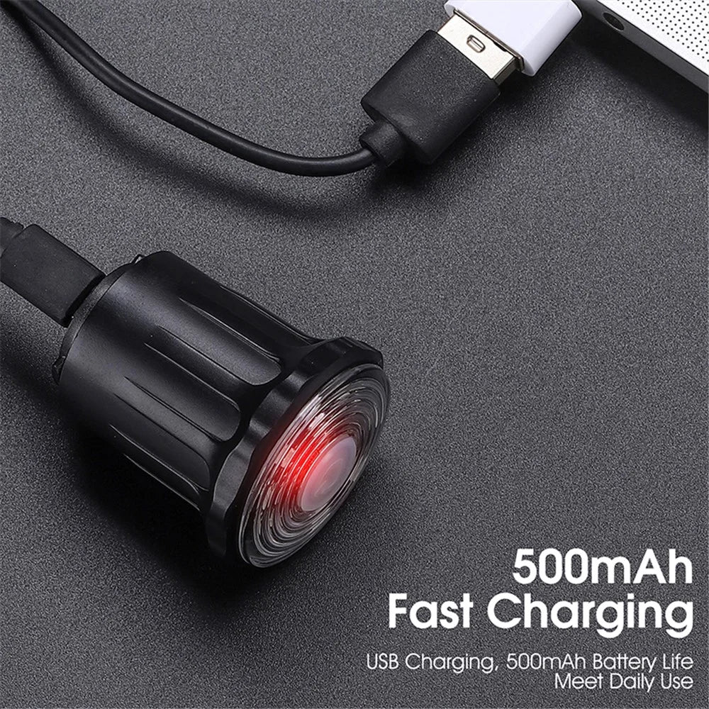 WEST BIKING YP0701331 Bright Colorful LED Bike Taillight Bicycle Smart Tail Light Cycling Accessories Safety Lamp - Install Under Seat - 7