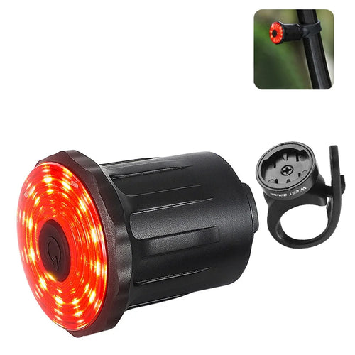 WEST BIKING YP0701317 USB Rechargeable Bike Cycling LED Tail Light Waterproof Bicycle Smart Brake Induction Warning Rear Lamp - Seat Post Tail Light - 1