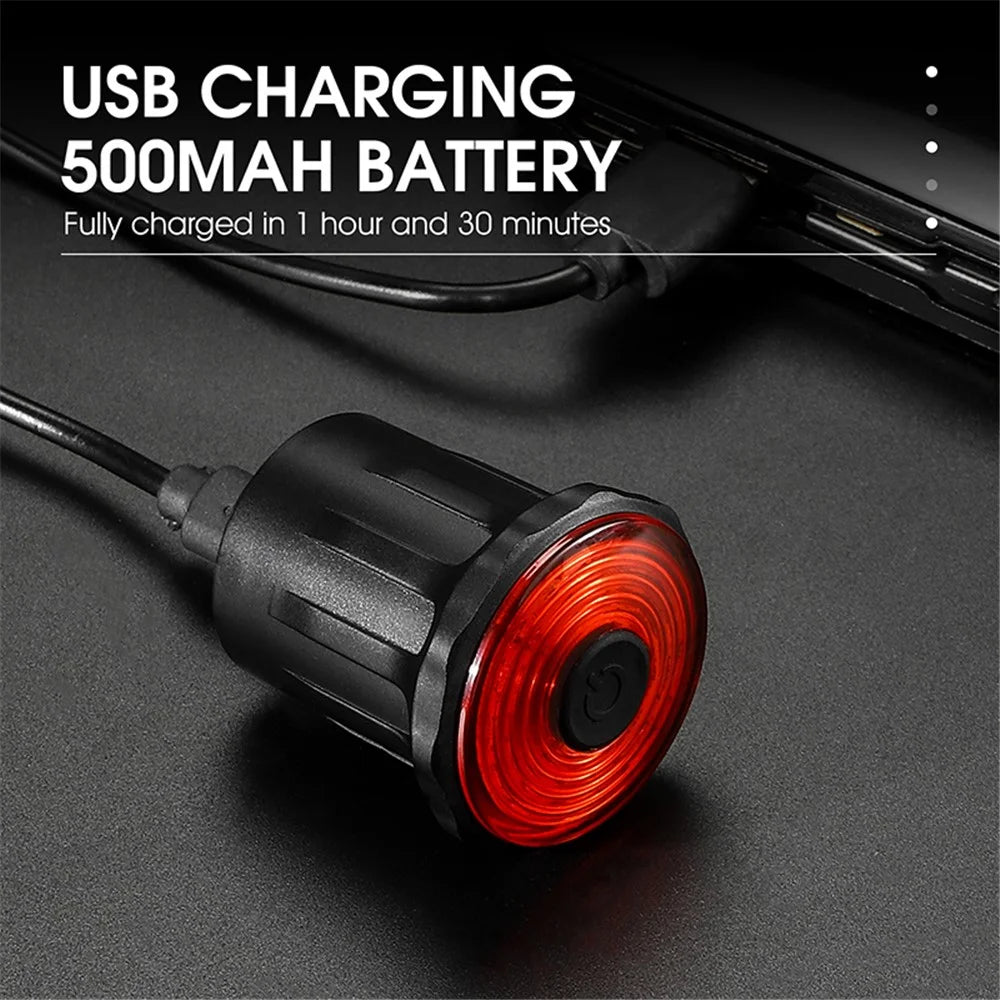 WEST BIKING YP0701317 USB Rechargeable Bike Cycling LED Tail Light Waterproof Bicycle Smart Brake Induction Warning Rear Lamp - Seat Post Tail Light - 5