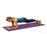 4mm PVC Yoga Mat Non-slip Fitness Exercise Mat with Yoga Poses Guide for Men Home Gym - Purple / Blue - 2