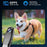 M28 4K Ultra HD Pet VLOG Logger Clip-On Wearable Camera First Person View Recorder - Black - 2