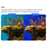 JUNESTAR JSR-1030-14 Waterproof Red Filter for Insta360 GO 3 Action Camera Multi-Coated Oil-Resistant Lens Filter - 2