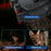 DT69 Portable Head-Mounted Infrared Night Vision Digital Binoculars Camera, without GPS - 7