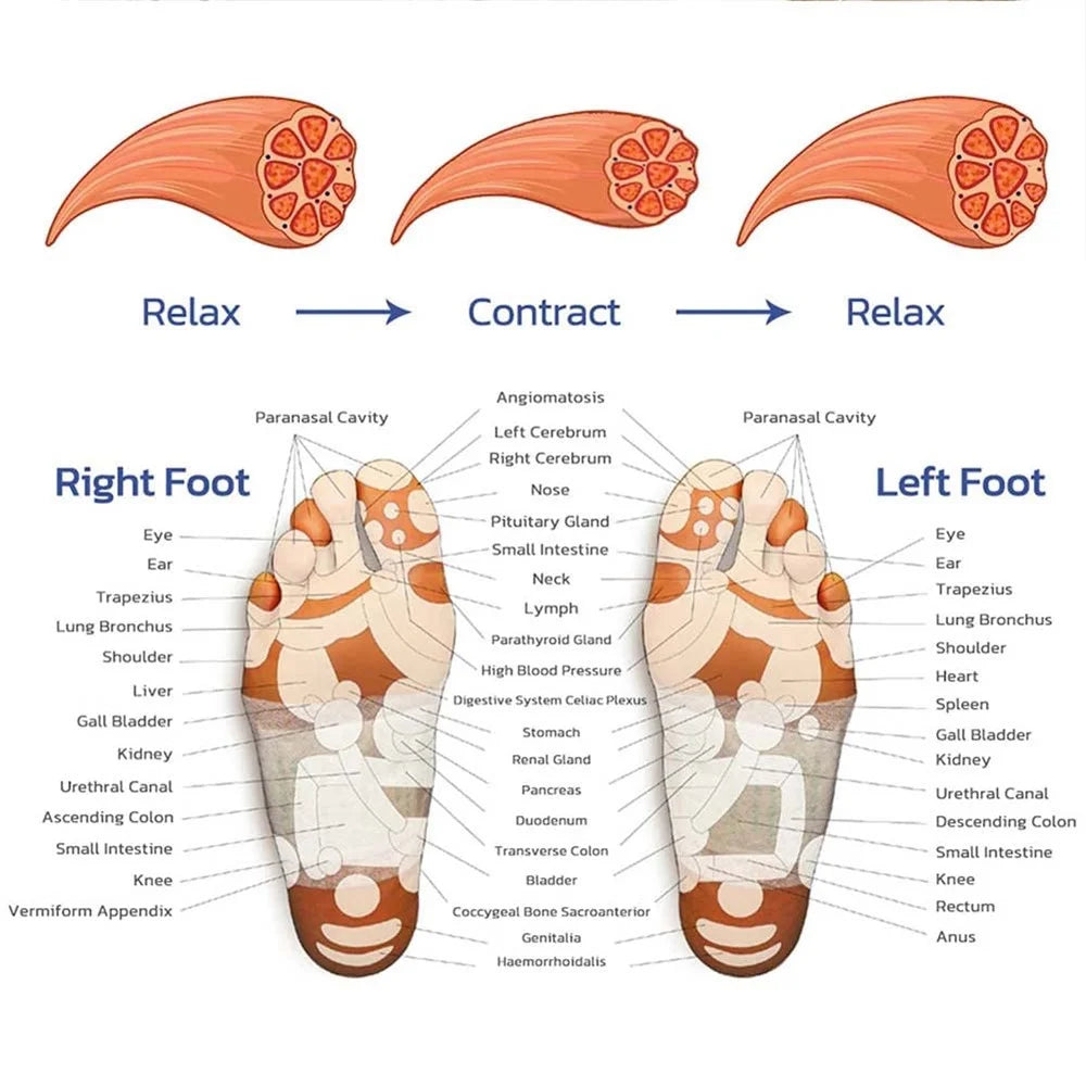 Mini Foot Massager Elderly Feet Therapy Electric Foot Mat EMS Portable Pulse Household Foot Relaxer Massager (Battery LCD Version) - 7