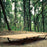 SHINETRIP A357 Single Camping Cot Aluminum Alloy Foldable Tent Bed for Hiking Fishing Hunting Car Travel - Sand Color - 6
