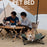 SHINETRIP A404 Elevated Raised Dog Cat Bed Aluminum Alloy Folding Pet Cot Soft Cushion Pet Hammock Bed - Coffee - 2