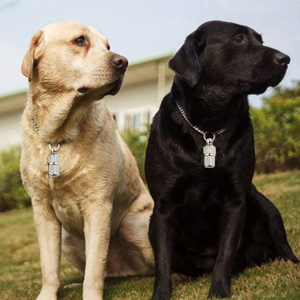 10Pcs Brass Pet Anti-lost Collar Pendant Dog Cat Identity Address Tag Collar Ornament - 2