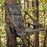 46x31x59cm Waterproof Tree Stand Chair Cushion for Outdoor Mountaineering Climbing - New Leaf Camouflage - 7