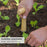 Garden Seed Planter with Handle Transplant Tool Seedling Dibber Hole Maker for Vegetables Planting - Blackish Green - 4