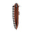 BAELLERRY N8702 Ultra-light Gird Pattern Bag Girls PU Leather Crossbody Bag Women Travel Phone Shoulder Bag - Brown - 7