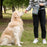 LDLC QS-095 Outdoor Walking Large Capacity Dog Treat Pouch Waterproof Pet Gift Training Waist Bag - white / Blackish Green - 4
