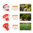HILDA Electric Grass Trimmer Garden Pruner, 14-Piece Set with Battery and Charger, 1500mAh - US Plug - 3