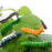 12Pcs Halloween Caterpillar Hair Clips  3D Bug Hair Clip Party Hair Accessories Fun - 5