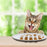 Cat Slow Feeder Bowl Fish Bone Design Preventing Choke Silicone Kitten Feeder Bowl - White - 5
