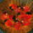 1.5m 10-LED Strawberry String Light Battery Powered Bedroom Decoration Lamp, Constant Light - 3