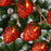 1.5m 10-LED Strawberry String Light Battery Powered Bedroom Decoration Lamp, Constant Light - 6