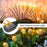 10-Head Solar Morocco Ball Light 2 Modes Landscape Garden Lawn Ground Light - Warm White Light - 5