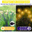 10-Head Solar Morocco Ball Light 2 Modes Landscape Garden Lawn Ground Light - Warm White Light - 7