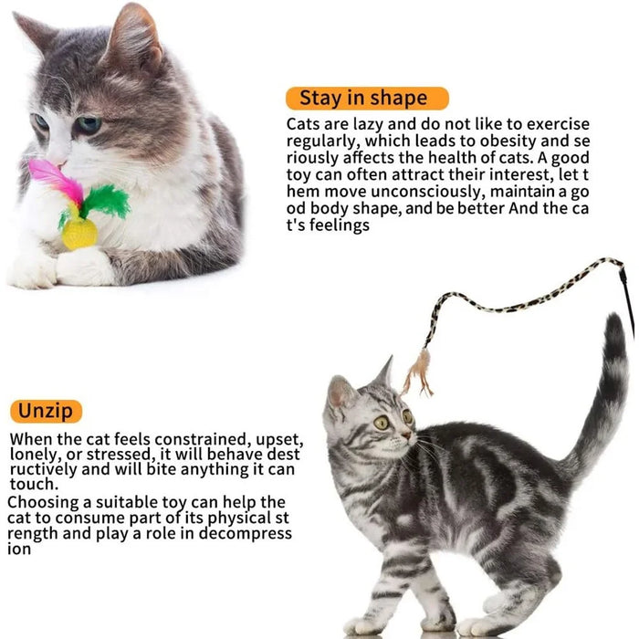 21Pcs / Set Cat Toys Set with Green Tunnel Interactive Cat Toy Feather Mouse Crinkle Balls - 3