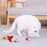 21Pcs / Set Cat Toys Set with Green Tunnel Interactive Cat Toy Feather Mouse Crinkle Balls - 7