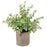 Artificial Grass Plastic Simulation Potted Plant Desktop Decoration for Living Room - PB05-10 - 1