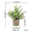 Artificial Grass Plastic Simulation Potted Plant Desktop Decoration for Living Room - PB05-10 - 4