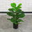 70cm Simulated Fiddle Leaf Fig Potted Plant Indoor Hall Decoration Green Plant Artificial Bionic - 2