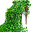 12Pcs 2.1m Simulation Leaves Rattan Plastic Green Vine Artificial Plant Wall Decoration - Ivy - 5