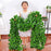12Pcs 2.1m Simulation Leaves Rattan Plastic Green Vine Artificial Plant Wall Decoration - Ivy - 6