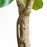 80cm Simulated Fiddle Leaf Fig Potted Plant Indoor Hall Decoration Green Plant Artificial Bionic - 5