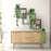 3Pcs / Set Hanging Potted Plant Simulation Eucalyptus Leaves Bonsai Home Decoration - TZ078-E+Green - 5