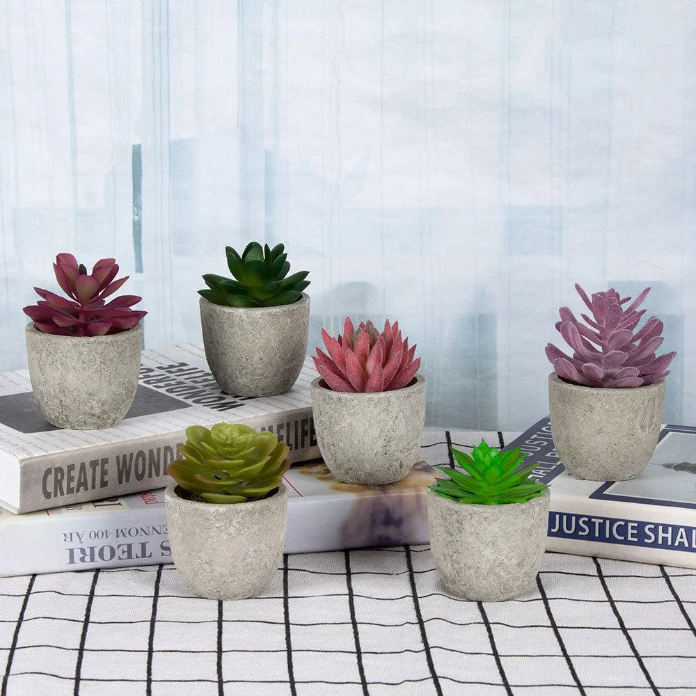 24Pcs Cactaceae Simulation Succulents Mini Bonsai Fake Plant Desktop Decor - 2