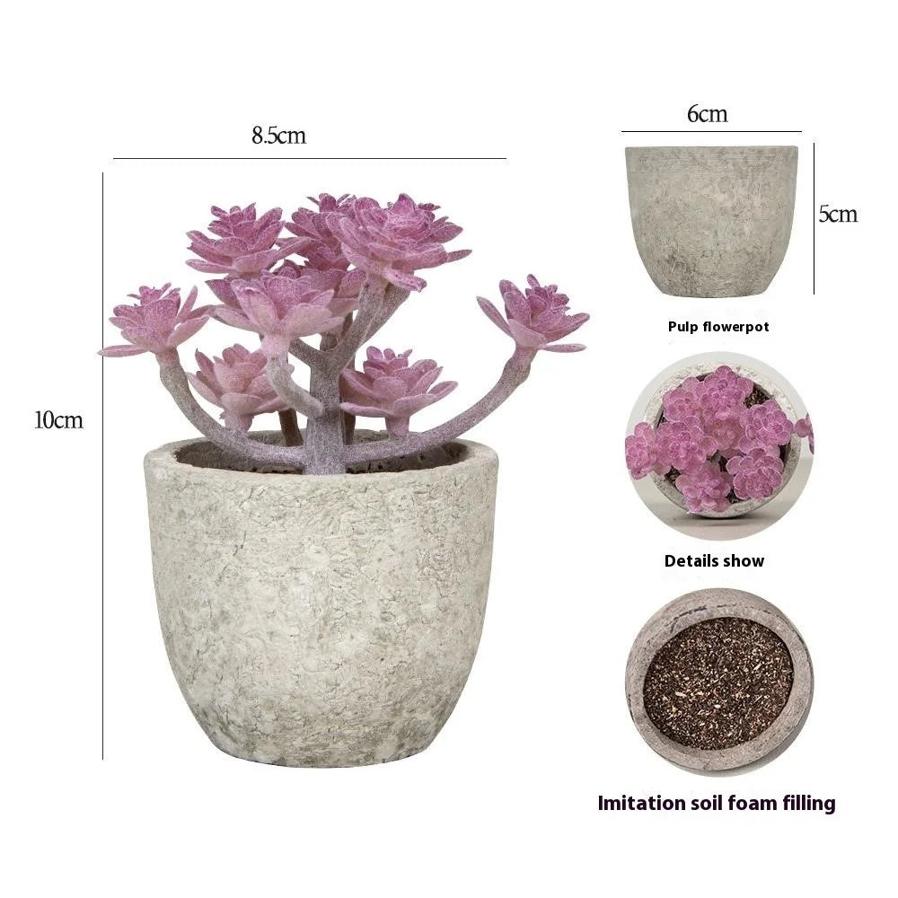 24Pcs Cactaceae Simulation Succulents Mini Bonsai Fake Plant Desktop Decor - 3