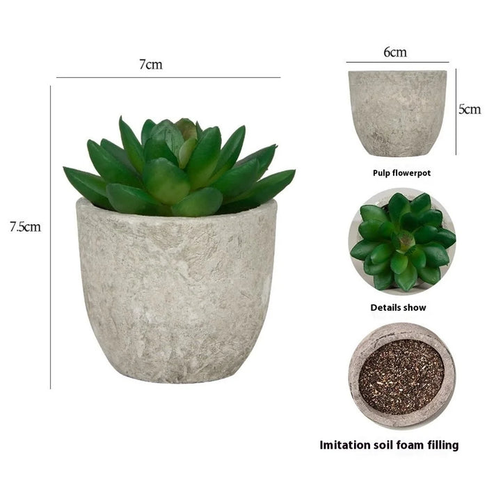 24Pcs Echeveria Simulation Succulents Evergreen Mini Bonsai Fake Plant Desktop Decor - 6