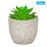 24Pcs Simulation Succulents Evergreen Mini Bonsai Fake Potted Plant Desktop Decor - DZ003 - 1