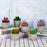 24Pcs Simulation Succulents Evergreen Mini Bonsai Fake Potted Plant Desktop Decor - DZ003 - 3