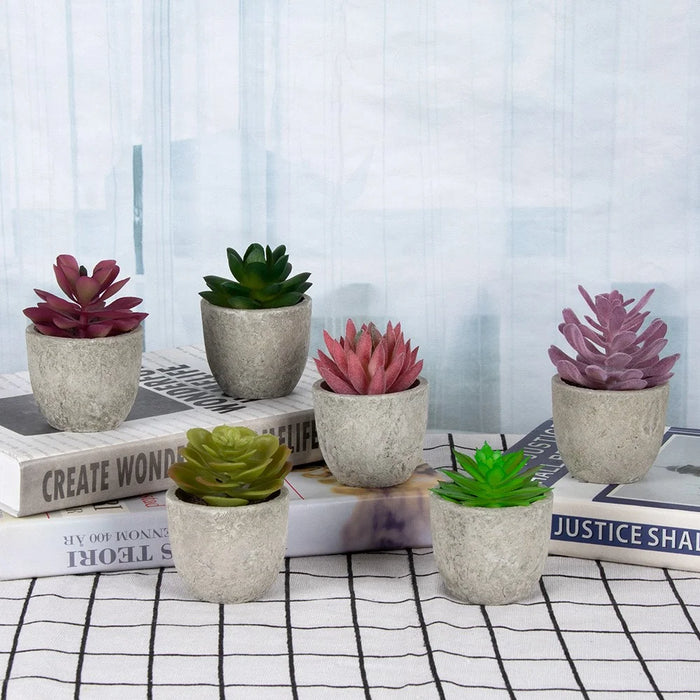 24Pcs Simulation Succulents Evergreen Mini Bonsai Fake Potted Plant Desktop Decor - DZ003 - 3