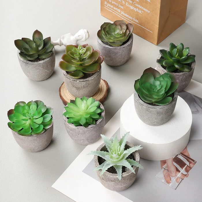24Pcs Simulation Succulents Evergreen Mini Bonsai Fake Potted Plant Desktop Decor - DZ003 - 5