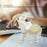 Fortune Lucky Elephant Statue Resin Craft Home Porch Office Desktop Feng Shui Ornament, Size M - White - 2