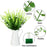 10Pcs Artificial Eucalyptus Stems Plastic Faux Plant Home Office Wedding Party Decor - Green - 2