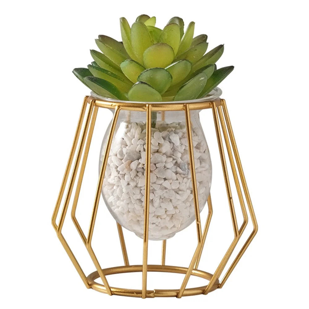 Hydroponic Vase Plant Holder Green Plants Support Container for Home / Office Desk Decor - Rhombus - 1