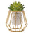 Hydroponic Vase Plant Holder Green Plants Support Container for Home / Office Desk Decor - Rhombus - 1