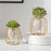 Hydroponic Vase Plant Holder Green Plants Support Container for Home / Office Desk Decor - Rhombus - 3