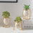 Hydroponic Vase Plant Holder Green Plants Support Container for Home / Office Desk Decor - Rhombus - 4