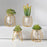 Hydroponic Vase Plant Holder Green Plants Support Container for Home / Office Desk Decor - Rhombus - 5