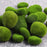 20PCS Artificial Moss Rocks 3 x 5cm Realistic Faux Stone Shooting Prop Decor Garden Glass Container Crafts - 6